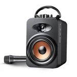 Cainteoir karaoke iniompartha le micreafón